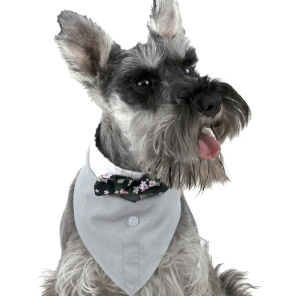 ❤️10/$13 New Cute Stylish Gray Dog Bandana with Floral Bow Tie